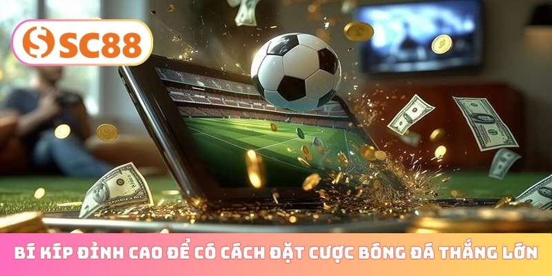 Bí kíp đỉnh cao để có cách đặt cược bóng đá thắng lớn