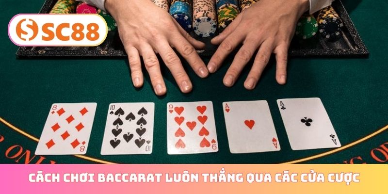 Cách chơi Baccarat luôn thắng qua các cửa cược