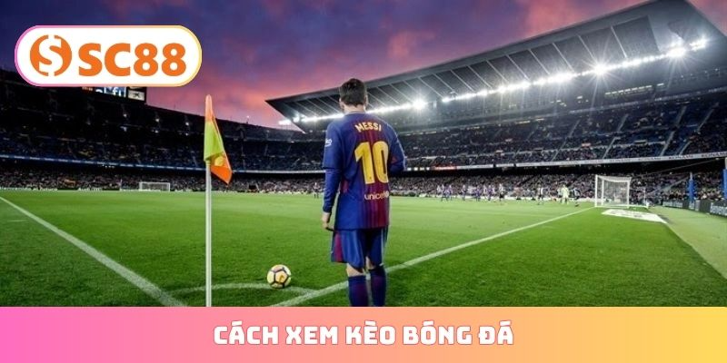 cách xem kèo bóng đá
