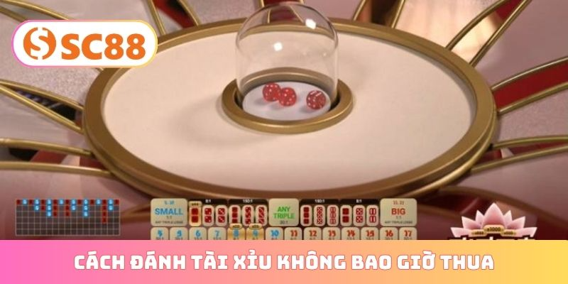 cách đánh tài xỉu không bao giờ thua