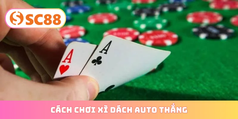 cách chơi xì dách auto thắng