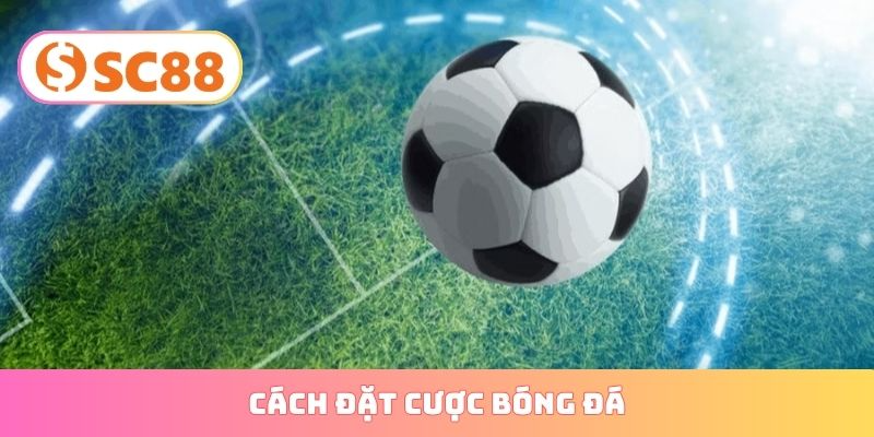 cách đặt cược bóng đá