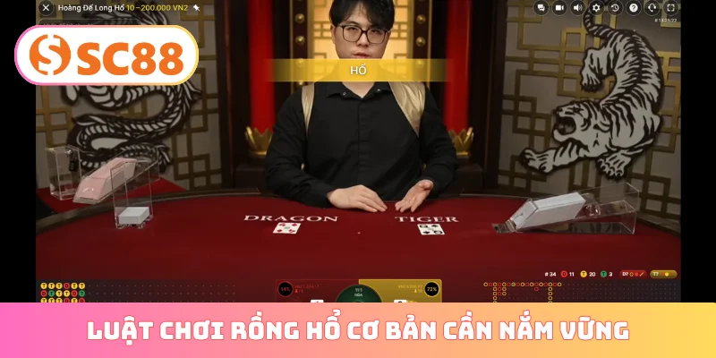 Luật chơi rồng hổ cơ bản cần nắm vững