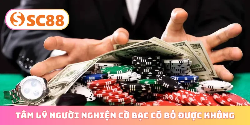 Tâm lý người nghiện cờ bạc có bỏ được không