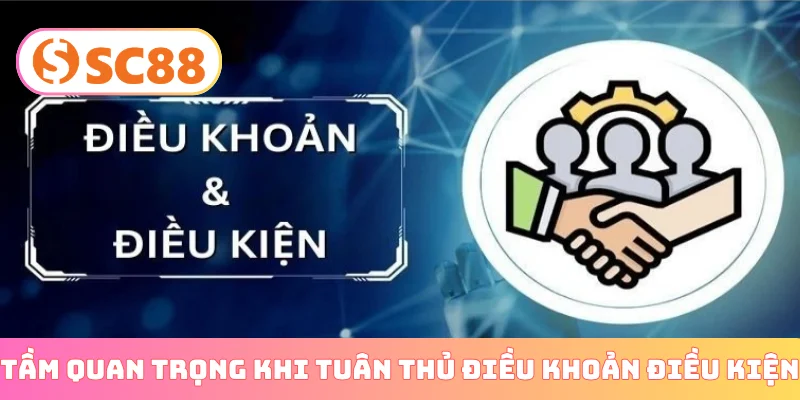 Tầm quan trọng khi tuân thủ điều khoản điều kiện
