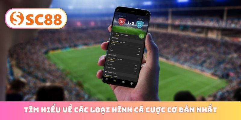 Tìm hiểu về các loại hình cá cược cơ bản nhất